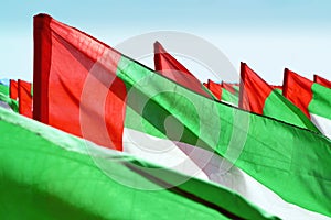 Close up fragment of waving UAE flags