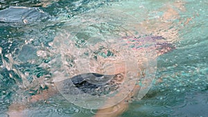 Close-up of freestyle swimmer in a pool in clear blue water. Professional athlete, competition. Healthy lifestyle