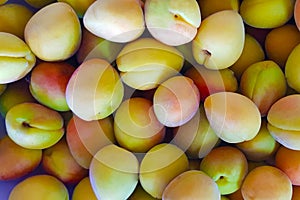 Close up of fresh apricots as background