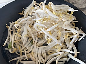close up fresh beansprout