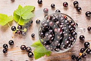 Close-up of fresh black currant in the cup and leaves