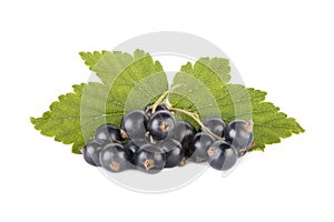 Close-up of fresh black currant on white background