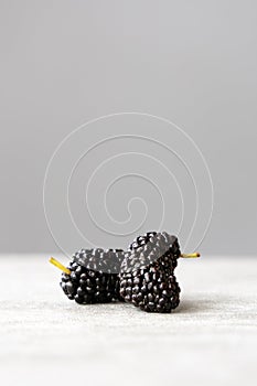 Close-up of fresh black mulberries on the table, photographed in Shanghai, China