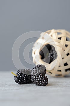 Close-up of fresh black mulberries on the table, photographed in Shanghai, China