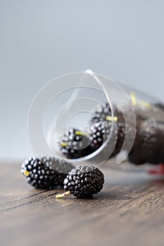 Close-up of fresh black mulberries on the table, photographed in Shanghai, China