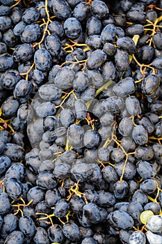 Close up of fresh blue organic grapes in a small wooden box displayed for sale at a street food market