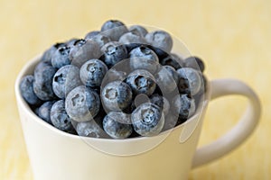 Close up of fresh blueberries in a white ceramic mug on a yellow crackle background