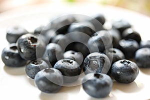 Close-up of fresh blueberries on a white plate photo