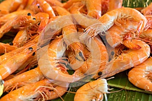 Close up of fresh boiled tiger shrimp