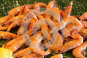 Close up of fresh boiled tiger shrimp