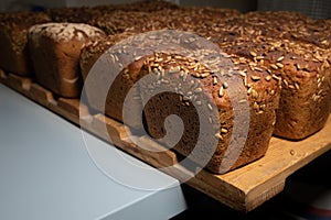 Close-up fresh brown loaves of rye bread in the form of bricks with sunflower seeds on a crust. Lie on a wooden rack