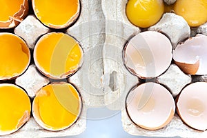 Close-up of fresh chicken eggs yolks in a shell on cardboard tray.