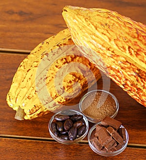 Close up of a fresh cocoa pods: dark dry cocoa bean, pieces of chocolate and powdered cocoa in crystal bowls