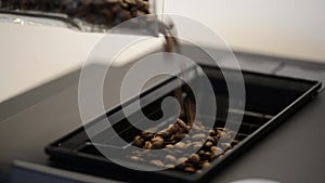 Close-up of fresh coffee beans slowly added to modern coffee machine grinder.