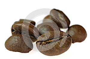 Close up of fresh coffee beans on white background