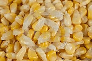 Close-Up Of Fresh Corn Kernels Texture From Above.