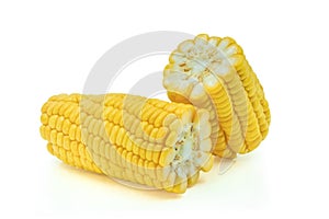 Close-up of Fresh corn ripe yellow sweet raw ear isolated on white