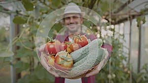 Close-up of a fresh crop of tomatoes and cucumbers from a greenhouse.