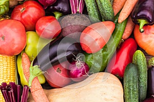 Close-up of a fresh crop of vegetables, a farmer`s harvest, a vegetable garden. Eco-products, vegetarianism, altern