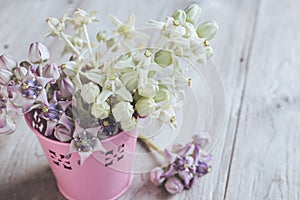 Fresh Crown flower or Calotropis giantea on wooden table