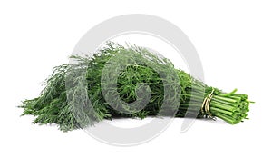 Close up of fresh dill herb.