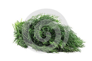 Close up of fresh dill herb.