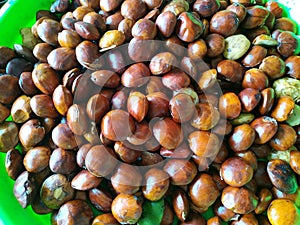 Close up fresh dogfruit jengkol at Indonesian traditional market