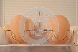 Close up of fresh eggs in clear plastic tray