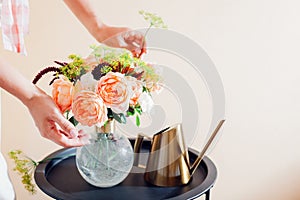 Close up of fresh english roses Lady of Shallott. Woman makes bouquet in vase of orange flowers on table at home