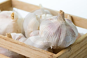 Fresh garlic bulbs