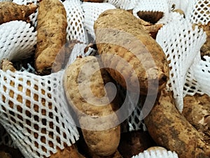 Close up of fresh gastrodia elata. A pile of fresh gastrodia elata is displayed and sold in the vegetable area of the supermarket.