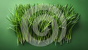 Close up of Fresh Green Grass Blades on a Vibrant Green Background Nature, Lawn, and Landscape Concept for Healthy Turf and