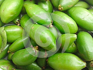 Fresh green madan in market photo
