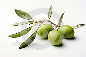 Close-up of fresh, green olives with leaves on a branch, against a clean white background.