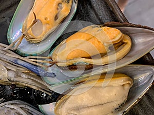 Close up fresh Green Shell mussels texture. Fresh New Zealand mussels or Perna Canaliculus.