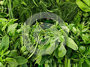 Close up of fresh green vegetables at supermarket