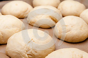 Close-Up of fresh Hamburger Buns/Brioche dough