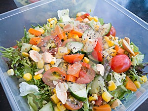 Close up of fresh and healthy salad made with fruits and vegetables in a container.