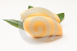 Close up of fresh Mangos with leaves on white background
