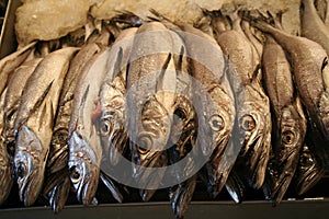 Close Up Fresh Market Fish