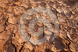 close-up of fresh mud hardened by sun