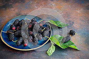 Close-up of fresh mulberry on blue ceramic plate and green leaves on grunge rusty metal surface. Selective focus, blurred