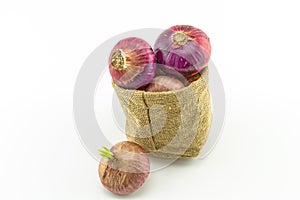 Close up fresh onion in sacks sisal  isolated on white background on top view