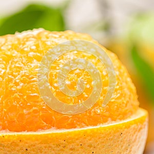 Close up of fresh orange