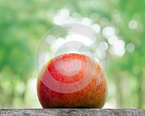 Close up of an organic apple fruit with outdour Background photo