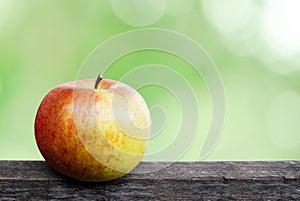 Close up of an organic apple fruit with outdour Background