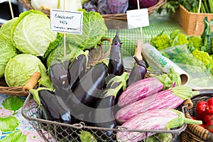 Close up of fresh organic eggplants at the farmers market