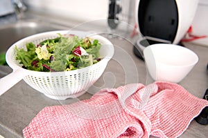 Close-up of fresh organic healthy herbs and greens in the vegetable dryer on the kitchen table