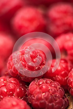 Close-up of fresh, organic raspberry