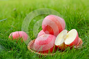Close-up of fresh, organic red apples in a basket on a lush, green grassy field